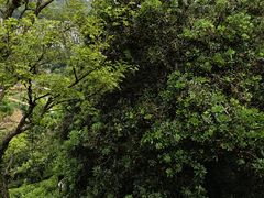 -西山风景区
