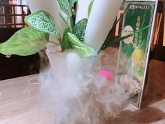 -探窝·竹笙椰子鸡(杨箕店)