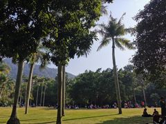 -深圳仙湖植物园