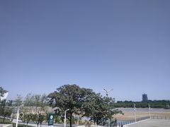 -灞河西岸滨河公园