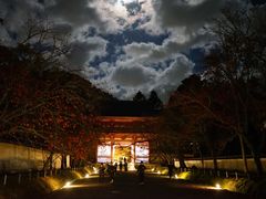 -醍醐寺