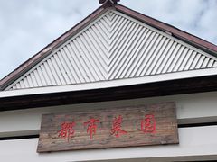 -上海都市菜园