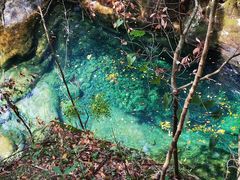 -祁门牯牛降观音堂风景区