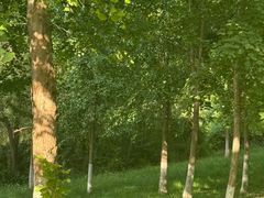 -西安汉城湖景区