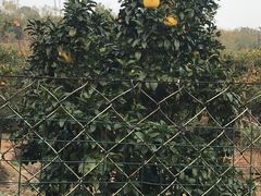 -雨花胜境