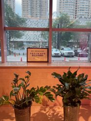 -华美整形美容医院