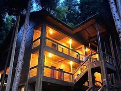 -武陵山森林公园