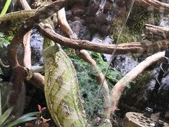 -上海大自然野生昆虫馆(东方明珠·爬宠昆虫探索中心)