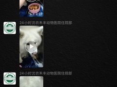 -派美特宠物医院·核磁CT·骨科肿瘤·疑难转诊(沈农禾丰店)