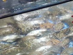 -济南海鲜大市场