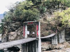 -黑河国家森林公园