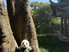 -柳侯公园