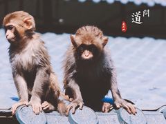 -广西龙虎山风景区