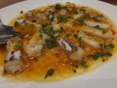 清蒸九肚鱼-聚福宝合苑食府(南头镇店)