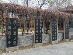 -碑林公园