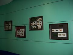 -上海昆虫博物馆