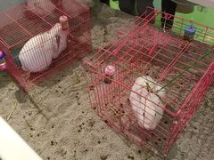 -天虹购物中心(石路店)