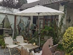 -Jo's Garden