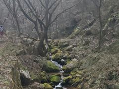 -抱龙峪