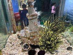 -太平洋海底世界