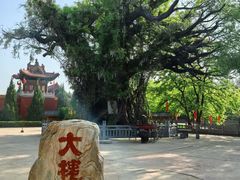 -大槐树寻根祭祖园