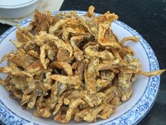 椒盐蘑菇-都江堰石锅鱼