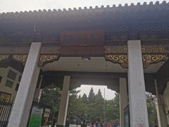 -团结湖公园