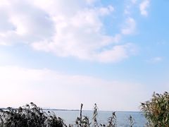 -日本料理神拉面