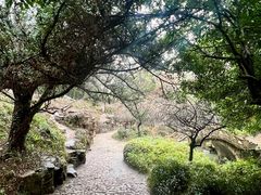 -北寺塔