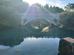 -贡湖湾湿地公园