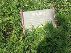 -望江楼公园