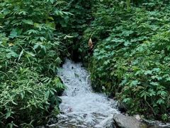 -重庆彩云湖湿地公园