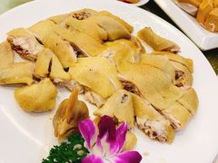 葱油白切鸡-顺德佬(石厦店)