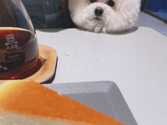 -Seesaw Coffee(上生新所店)