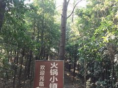 -伴山茶苑·一盏冰茶·半日山居