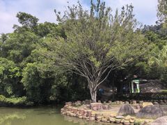 -云洞岩风景区