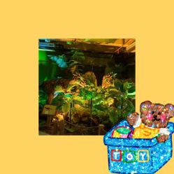 -恐龙探索乐园(磁器口店)