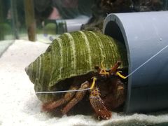 -太平洋海底世界