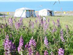 -青海湖国家重点风景名胜区