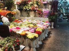 -双季花艺园艺市场(浦东店)