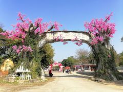 -天适樱花悠乐园