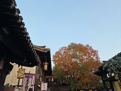 -茅山东方盐湖城景区