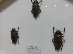 -辽宁大学(崇山校区)
