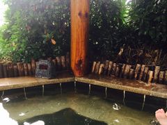 -郑州银基黄帝宫御温泉