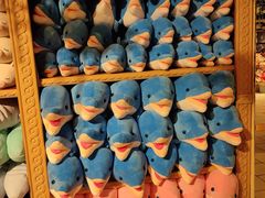 -皇家海洋乐园