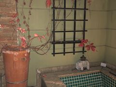 -春晖园度假酒店温泉