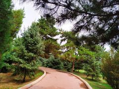 -阿尔丁植物园