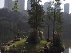 -重庆彩云湖湿地公园