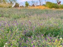 -汉长安城未央宫国家考古遗址公园
