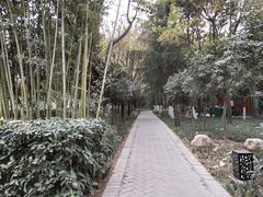 -唐城墙遗址公园
